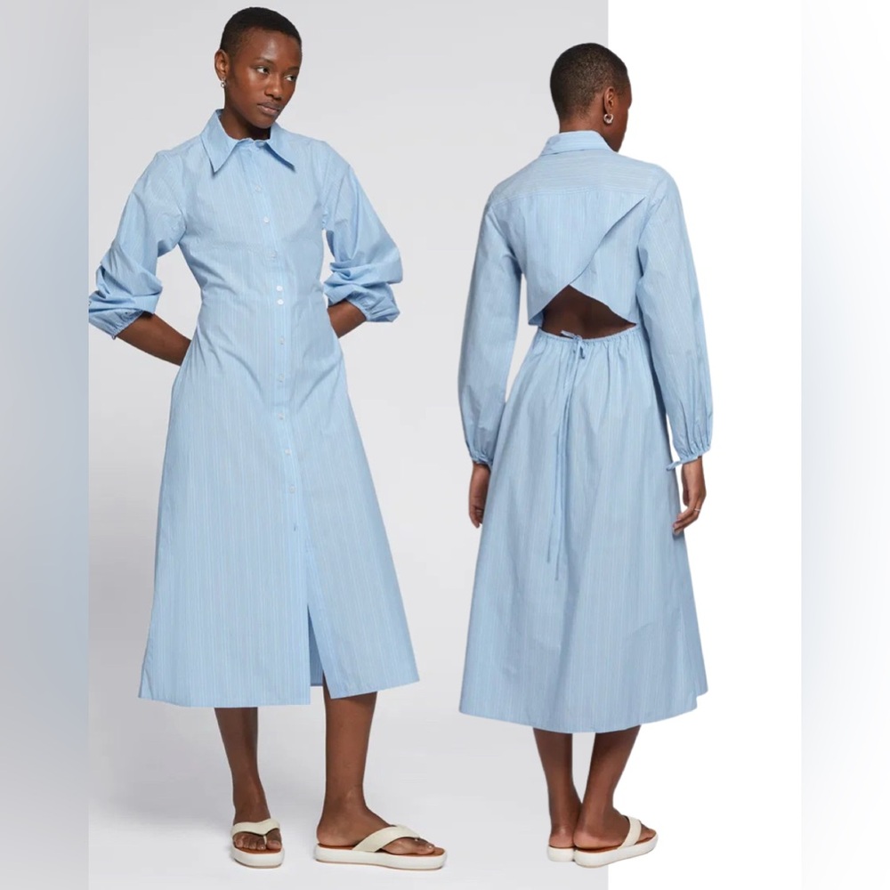 & Other Stories Blue stripe shirt dress